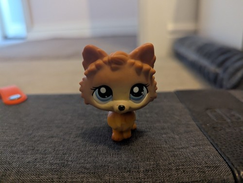 Little pet shop brown - pet,