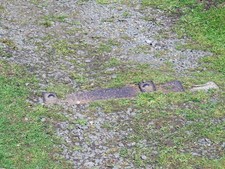 Photo 6x4 Sleeper of former