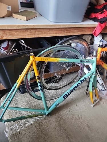 Bianchi reparto corse 61cm - corse,