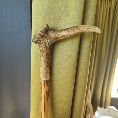 Antique walking stick - antique, antler