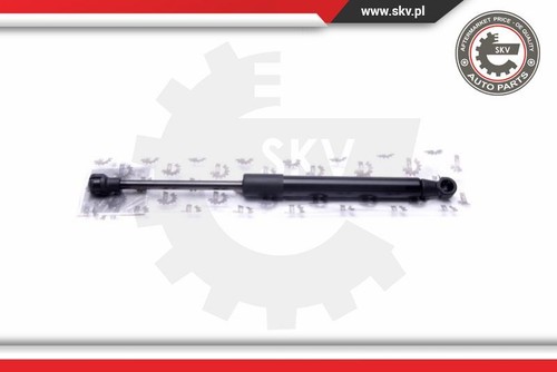 Esen skv 52skv691 - esen, gas