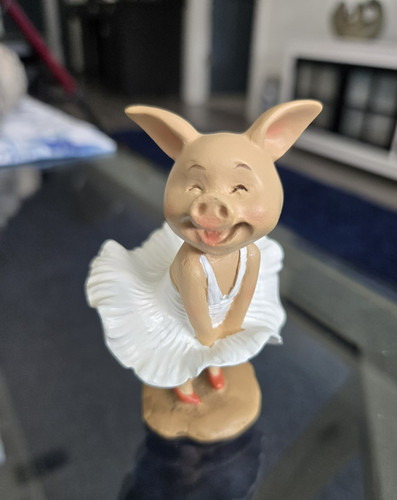 Piggy statue mini pig - pig, resin