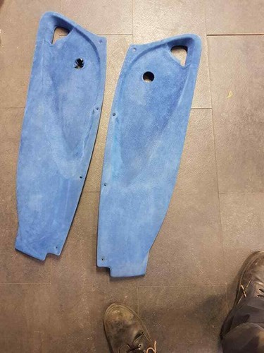 Genuine pair lotus - of,