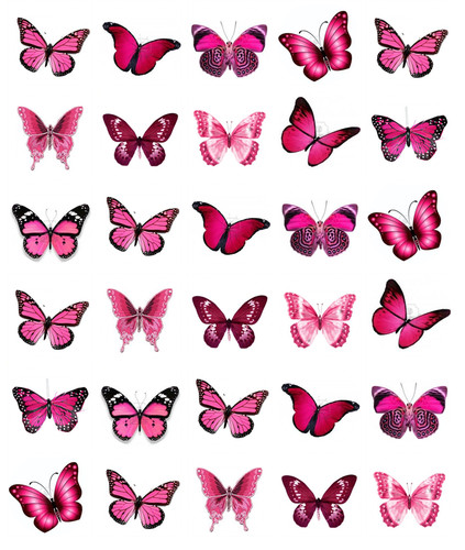 Pink butterflies cupcake - pink, x