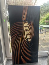 Absreact Colourful Zebra Oil