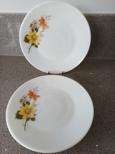 Jaj pyrex autumn glory - ​,
