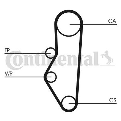 Timing belt kit for citroen - belt,