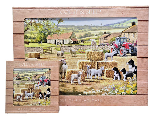 Farmyard collie sheep - farmyard,