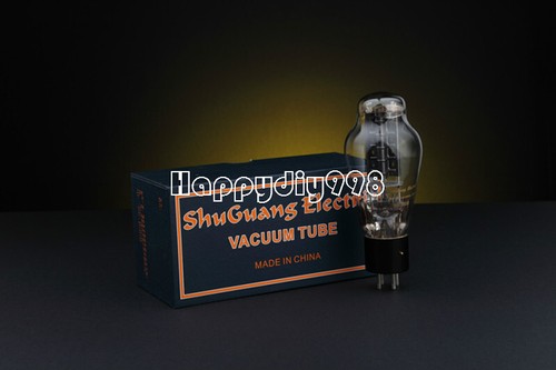 Shuguang we300b replica - 1, pc