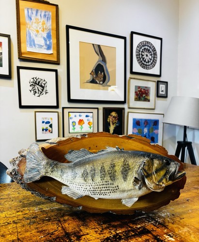 Largemouth bass taxidermy