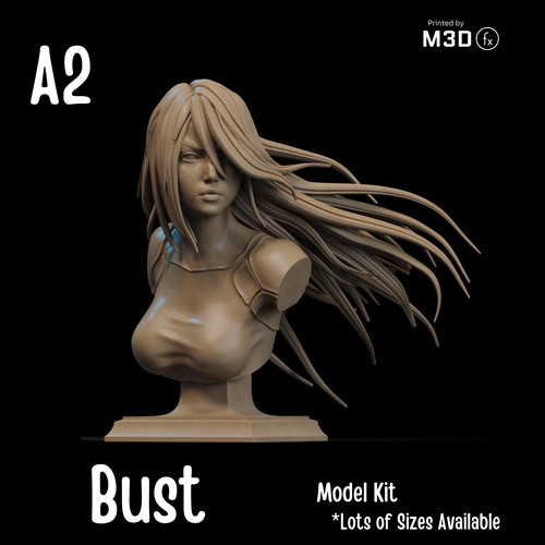 Resin bust kit 1 - kit, 1:9