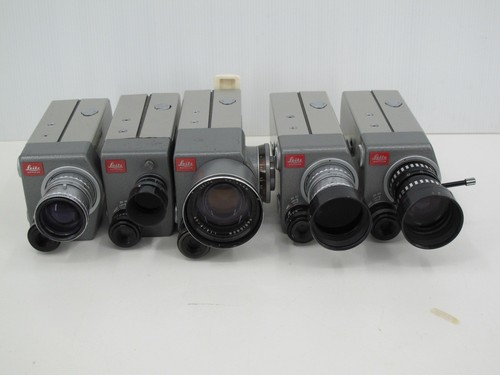 Bundle leicina with - 5,