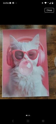 Cat canvas plastic poster - canvas,