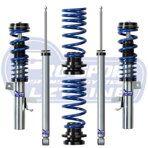 Prosport coilover kit for ford - prosport,