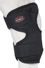 Horse Magnetic Therapy - Hock