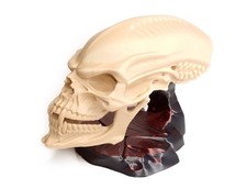 Alien Predator Skull Trophy
