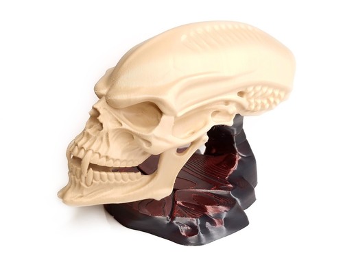 Alien predator skull trophy - predator,