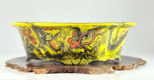 Yellow dragon yixing bonsai - yellow,