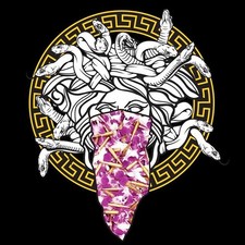 Crooks & Castles Hawaii Exclusive Floral Medusa Black Tee - Size Medium T-shirt