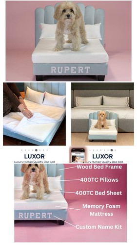 Brand new boxed hooman life - new,