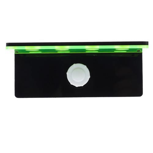 Live coral display stand - live,