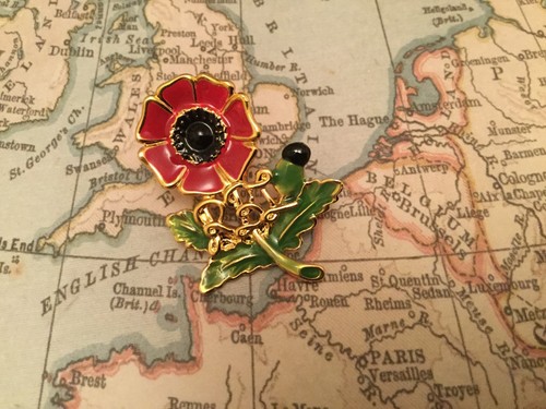 British armed forces veteran - armed,