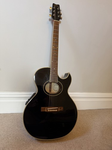 Washburn black ea9b - black,