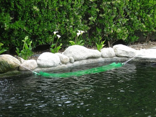 Fish spawning brush - spawning,
