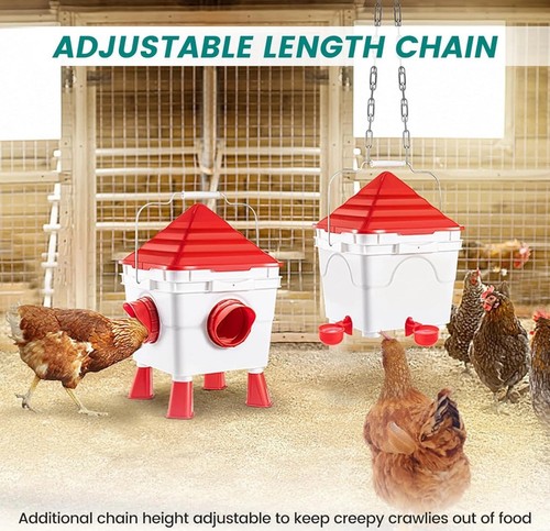 Hot sale new - 🔥hot, chicken