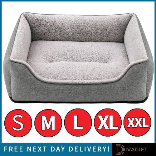 Grey pet dog - pet, beds