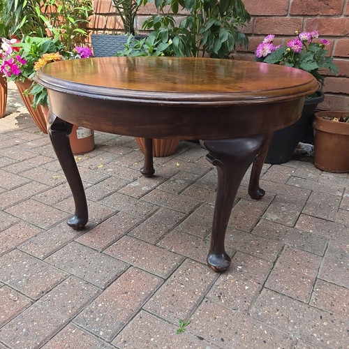 Vintage queen anne burr - burr, walnut