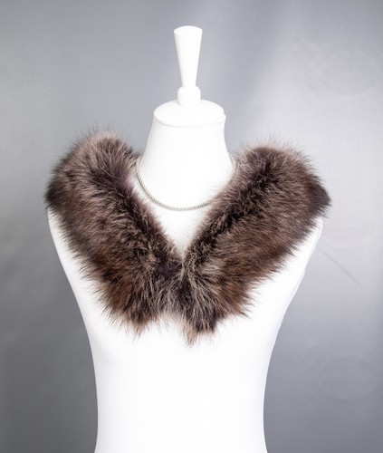 1427 glamorous real - real, raccoon