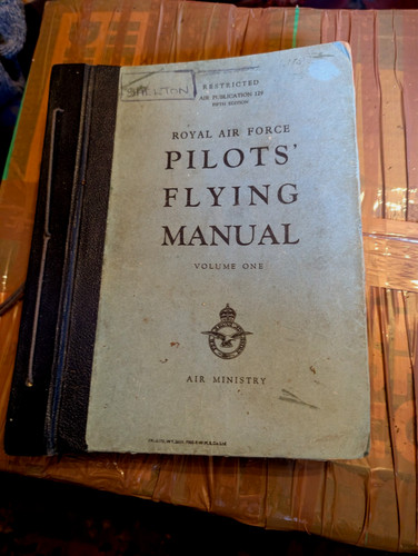 Raf pilot flying - flying, l