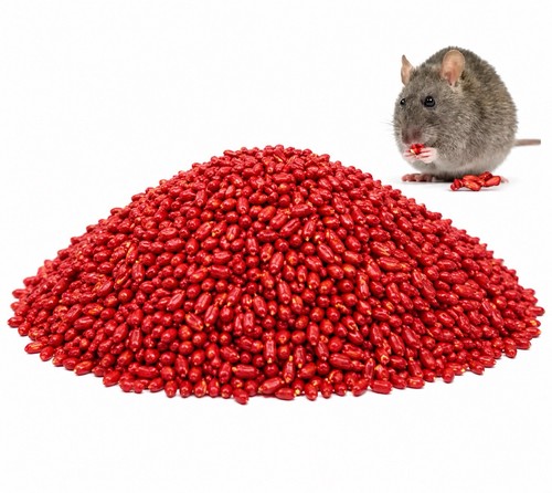 Rat mouse poison - &, rodent