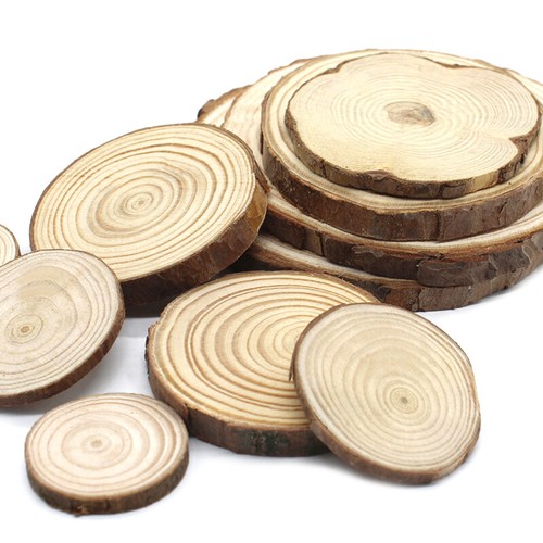 Wooden slices wood - wood, discs
