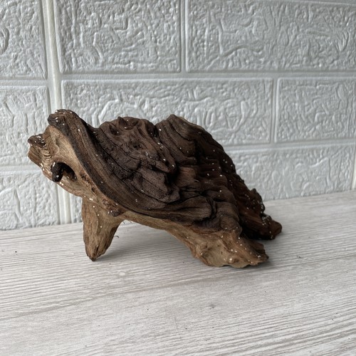 Bogwood driftwood fish tank - bogwood,