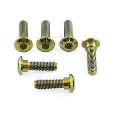 Titanium Disc Bolts Gold