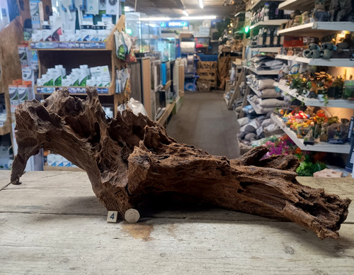 Large mangrove 85cm root - mangrove, 41-85cm
