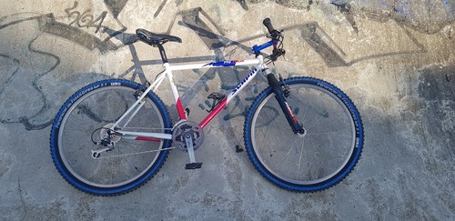 Scapin pro racer - tr-x, mountain