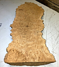 220X50X590MM LOT 554A BURR ELM