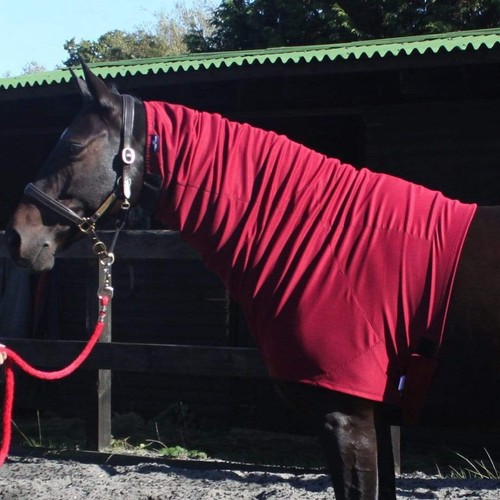 Snuggy hoods headless - hoods,