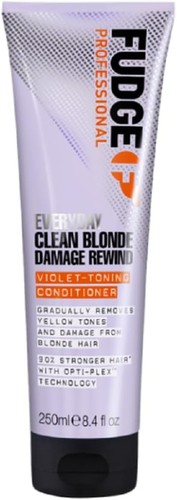 Fudge professional everyday - fudge,