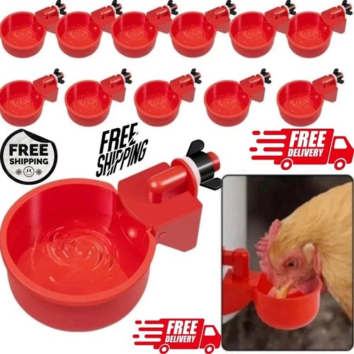 10pcs automatic chicken - 10pcs,