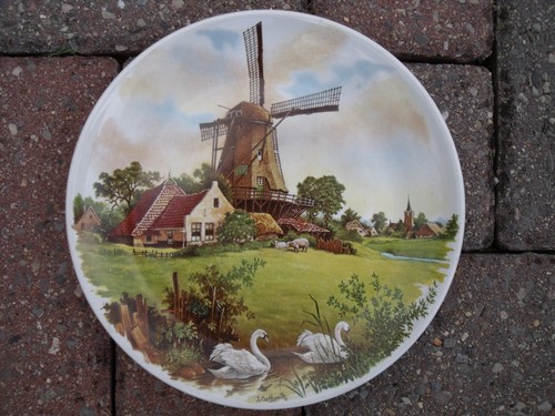 Royal schwabap plate - royal,