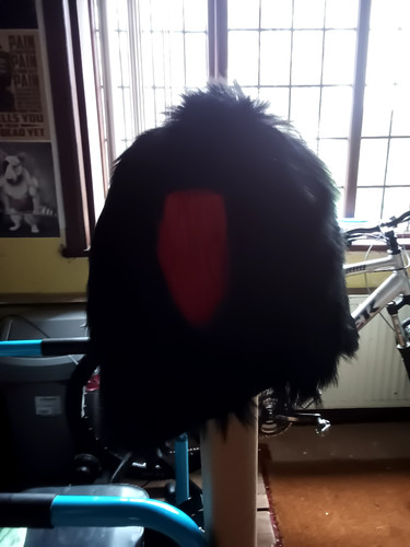 Coldstream guardsmans bearskin - coldstream,