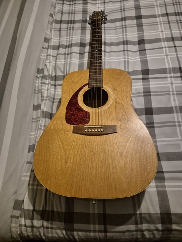 Norman left handed acoustic - norman,