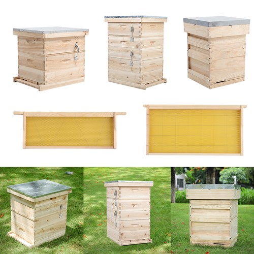 Tier langstroth beehive - 2/3/4,