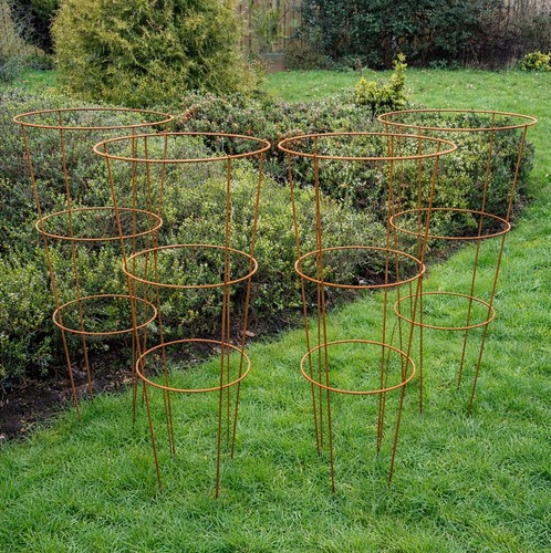 Garden conical plant support - garden,