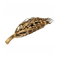 Natural Reptile Branch