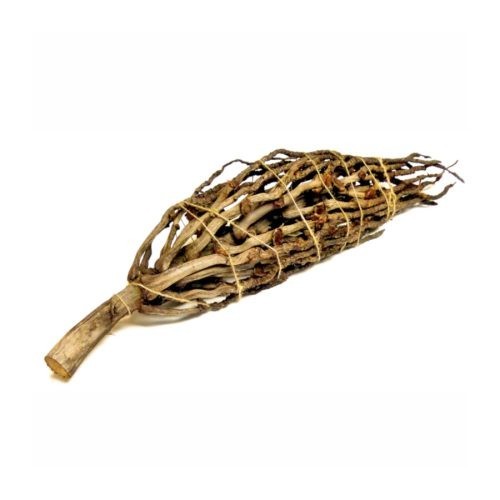 Natural reptile branch - natural,